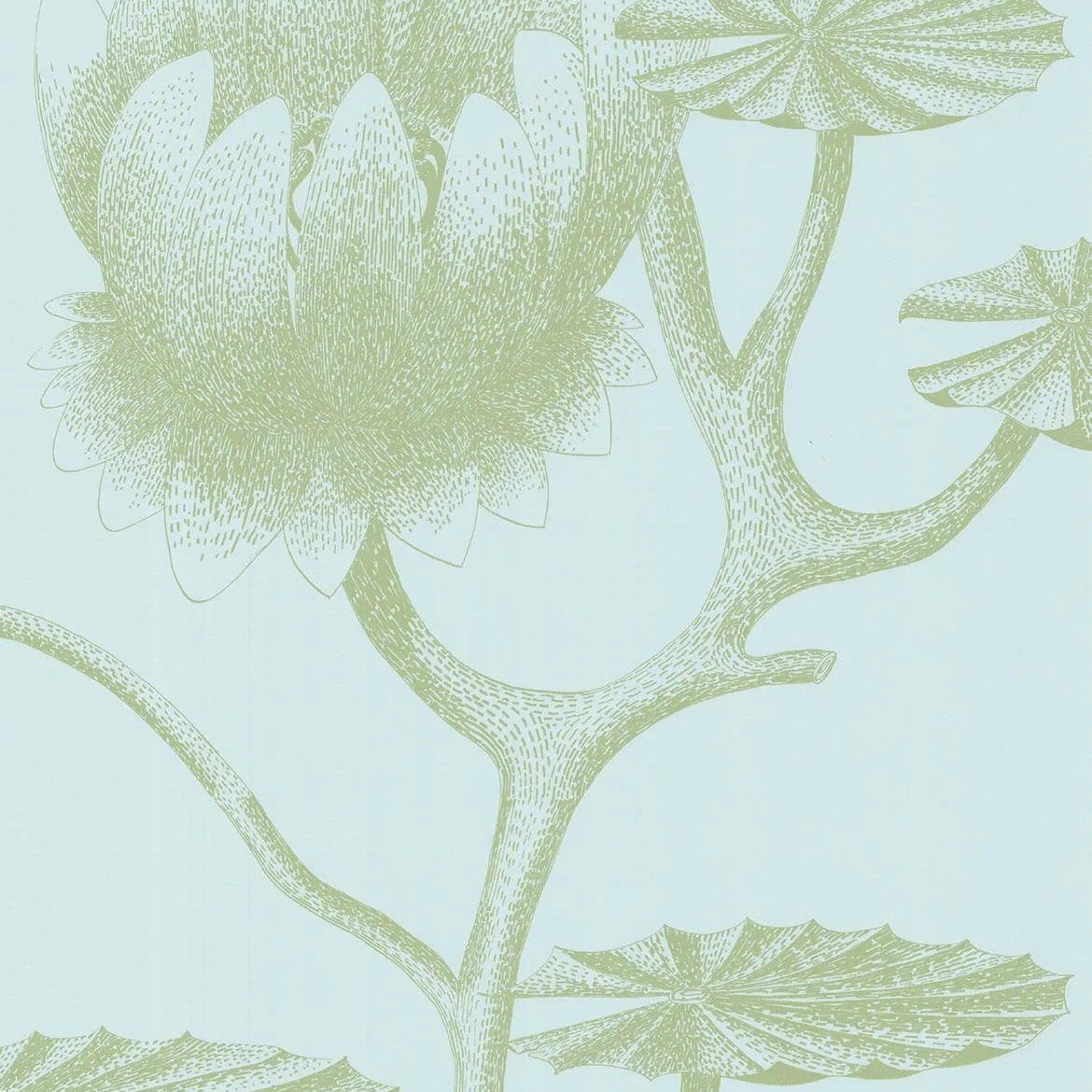 Tapeta CONTEMPORARY RESTYLED - Lily niebieski Cole & Son Default Title   Eye on Design