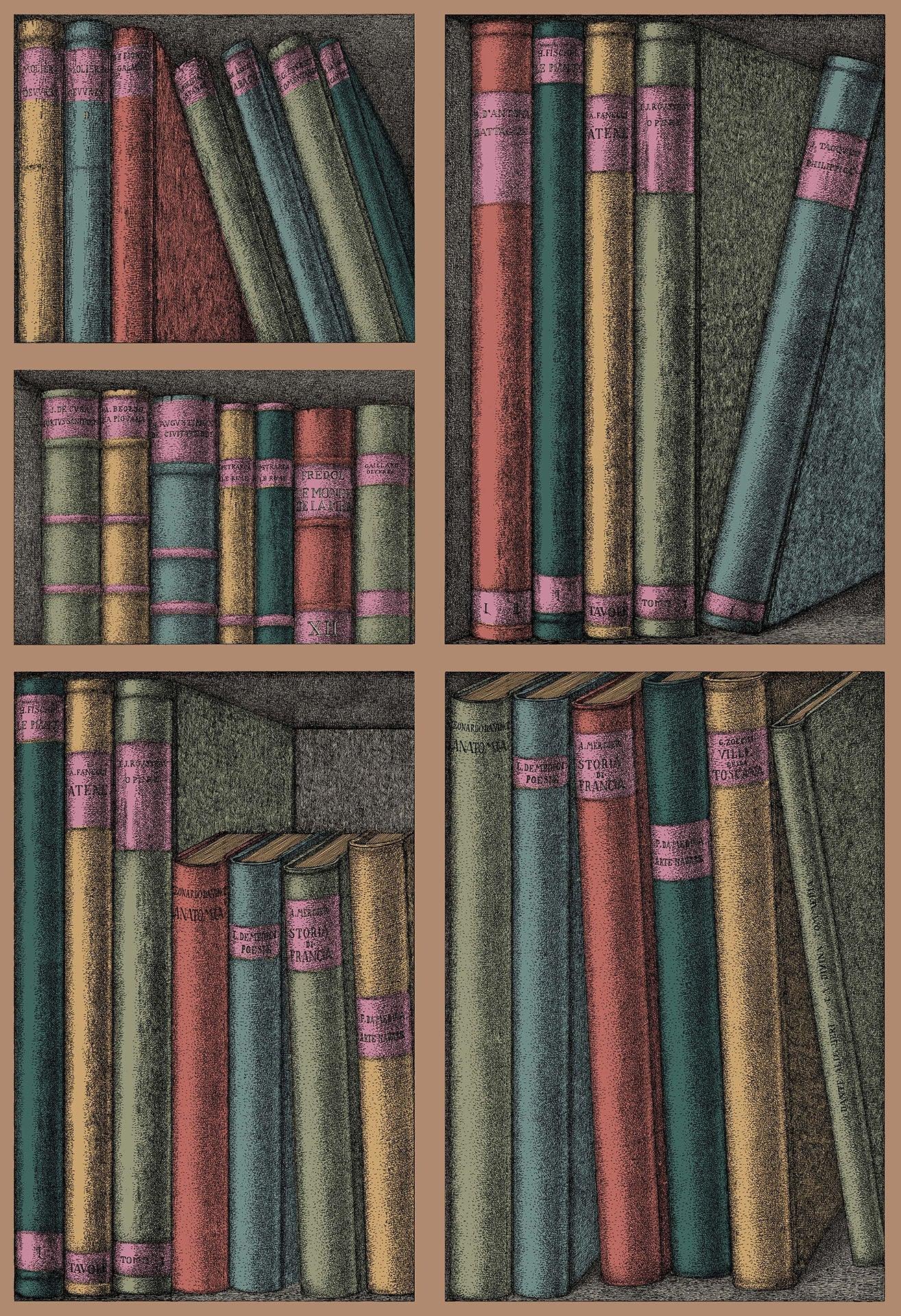 Tapeta s motivem knihovny a knih FORNASETTI - Ex Libris barevná