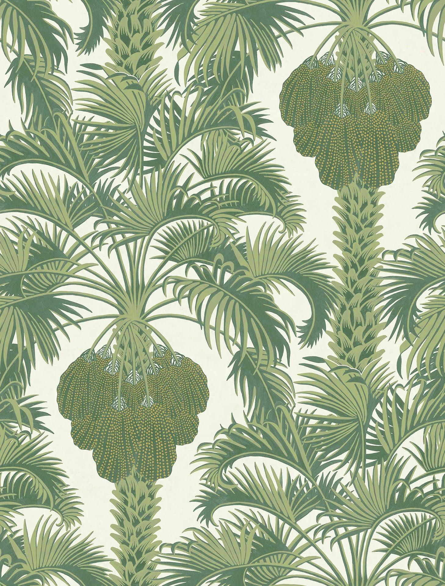 Tapeta MARTYN LAWRENCE BULLARD - Hollywood Palm Cole & Son    Eye on Design