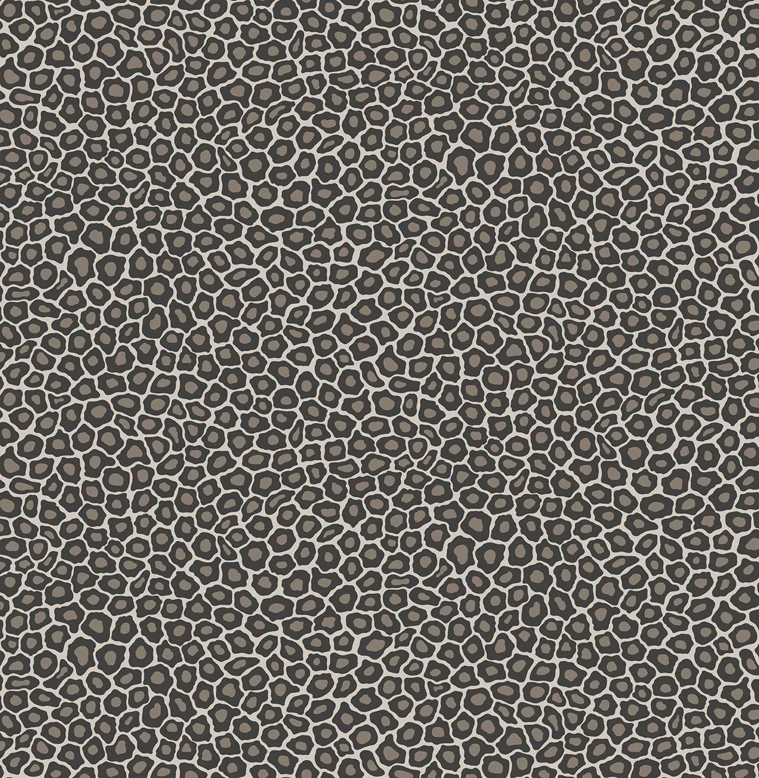 Tapeta THE ARDMORE COLLECTION - Senzo Spot szary Cole & Son    Eye on Design