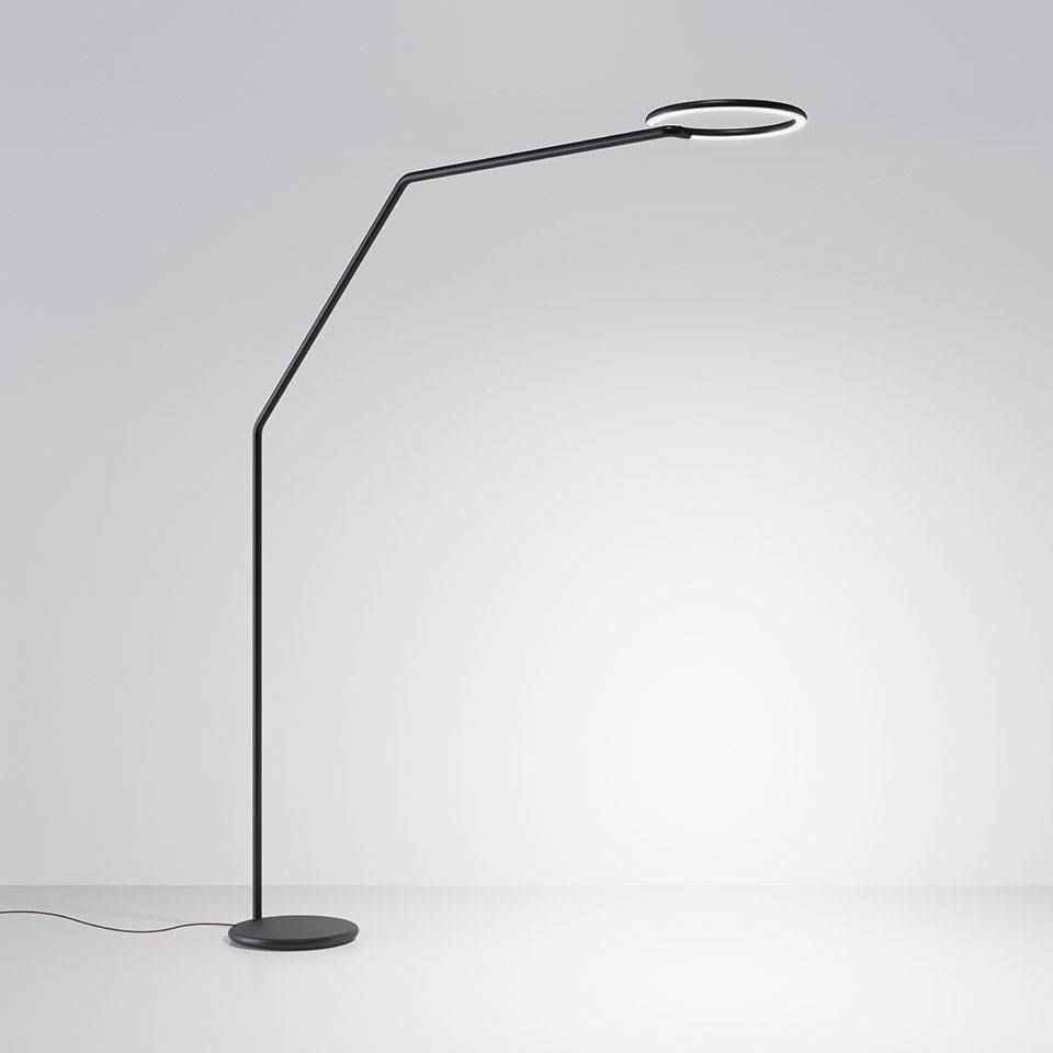VINE LIGHT black floor lamp with arm